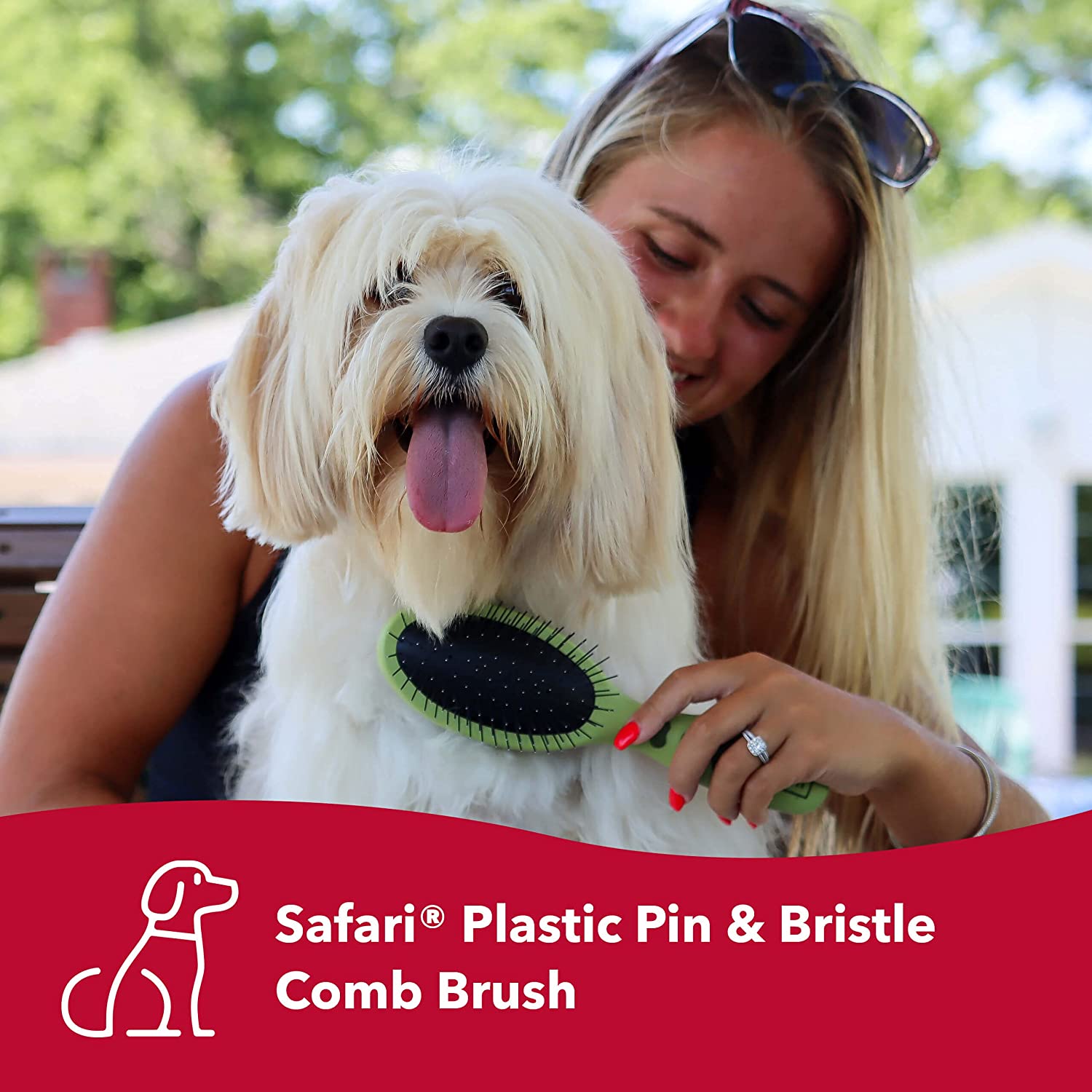 Pin and Bristle Combo Dog Brush